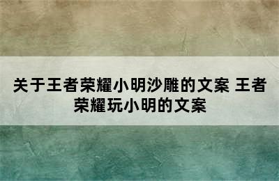 关于王者荣耀小明沙雕的文案 王者荣耀玩小明的文案